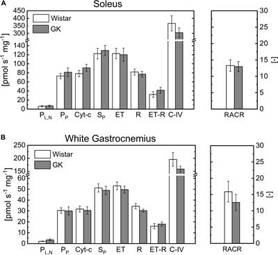 Mitochondrial Utilization of Competing Fuels Is Altered in Insulin Resistant Skeletal Muscle of Non-obese Rats (Goto-Kakizaki)